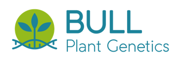 Bull Plant Genetics